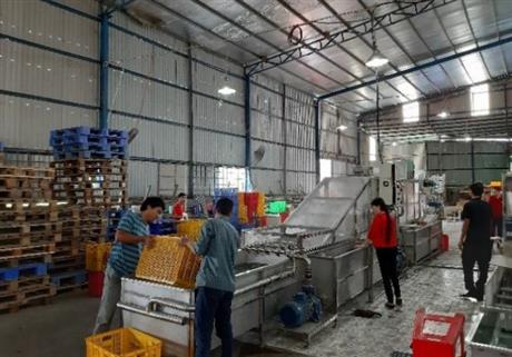 Techmart Công nghệ sau thu hoạch trực tuyến 2021: Ứng dụng công nghệ sau thu hoạch và cơ hội cho trái cây Việt Nam